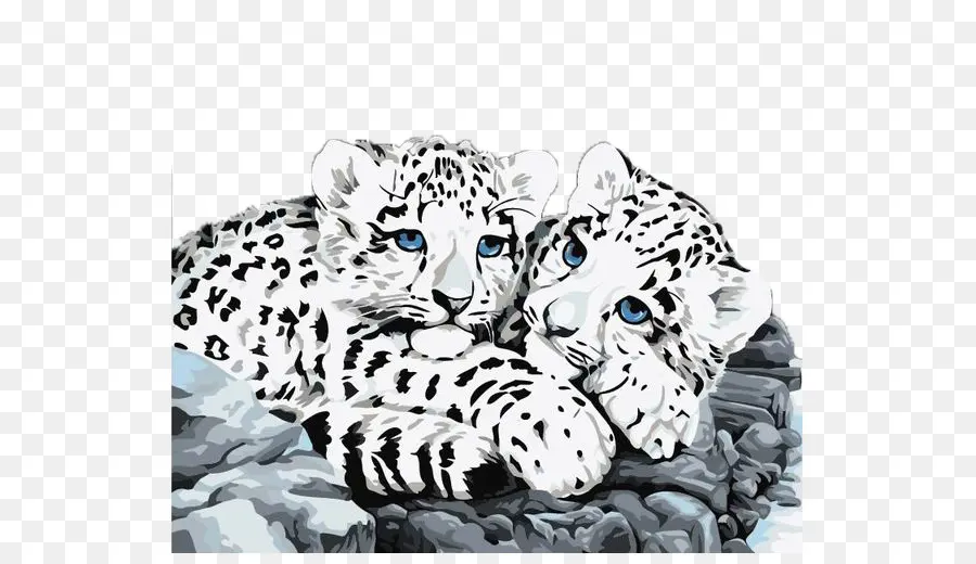 Snow Leopard，Leopard PNG