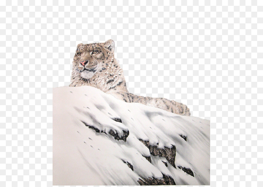 Snow Leopard，Leopard PNG