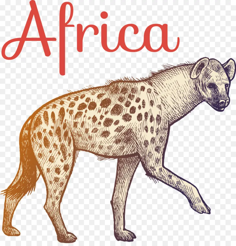 Hiena，África PNG