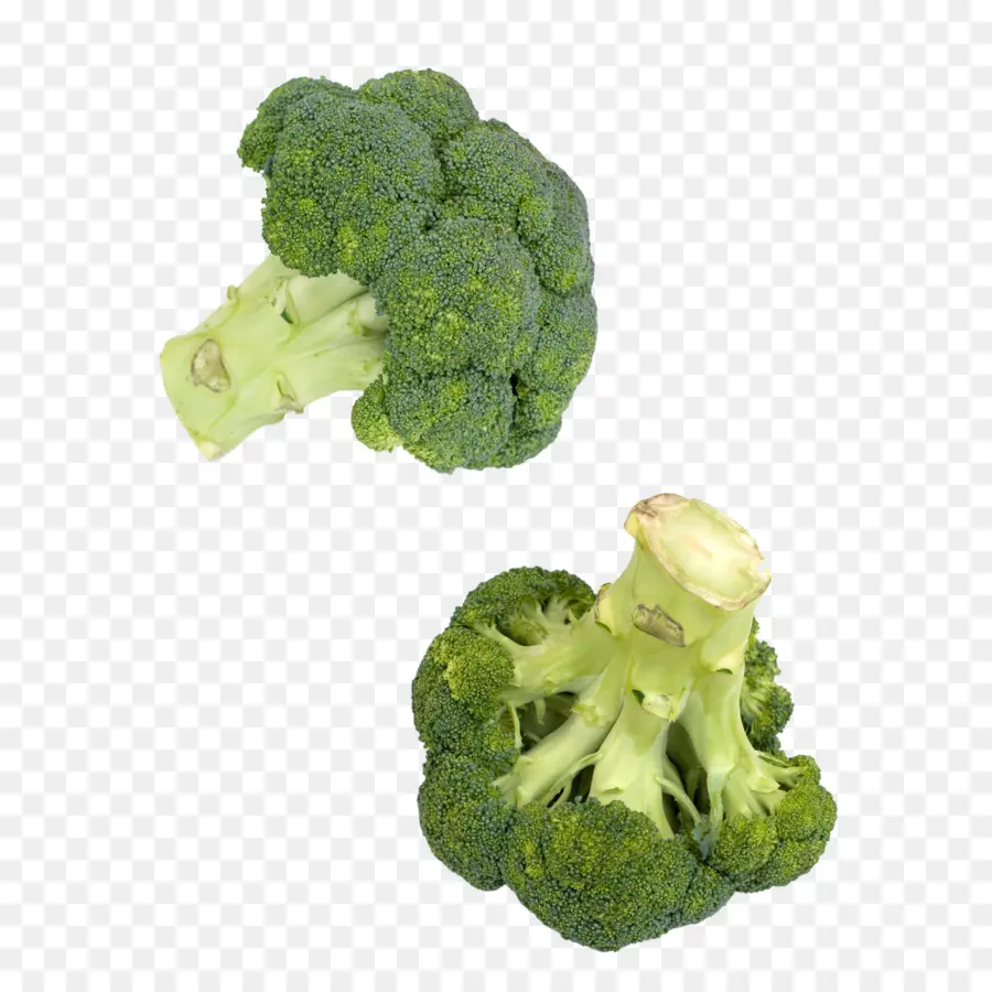 Vegetal，Brócoli PNG