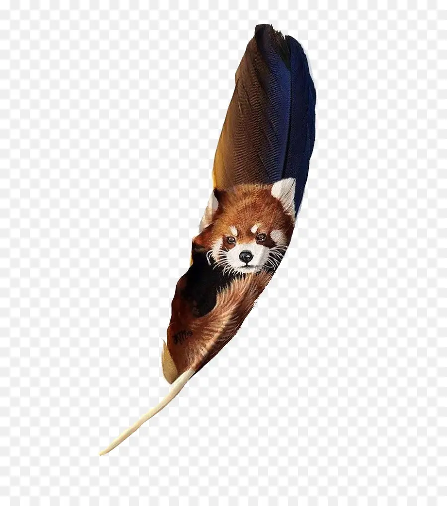 Pájaro，Pluma PNG