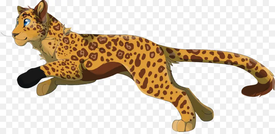 Leopardo，Fauna PNG