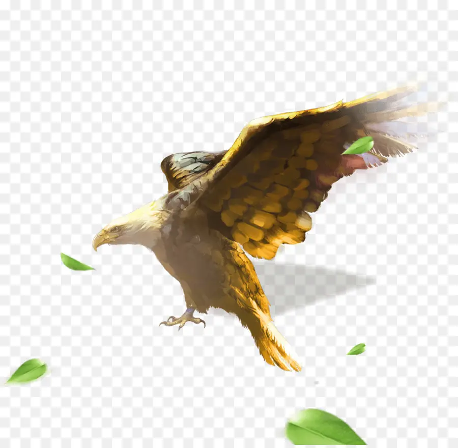 Águila，Vuelo PNG