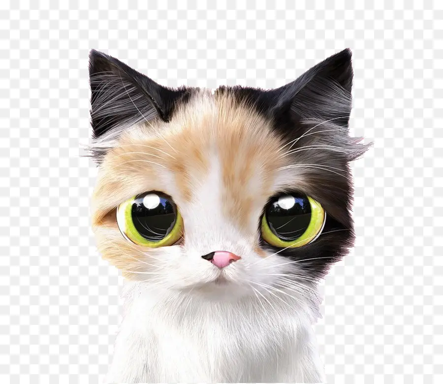 Gato Siamés，Gatito PNG