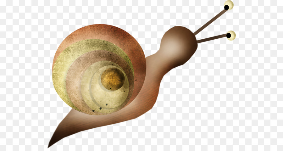 Caracol，Postscript Encapsulado PNG