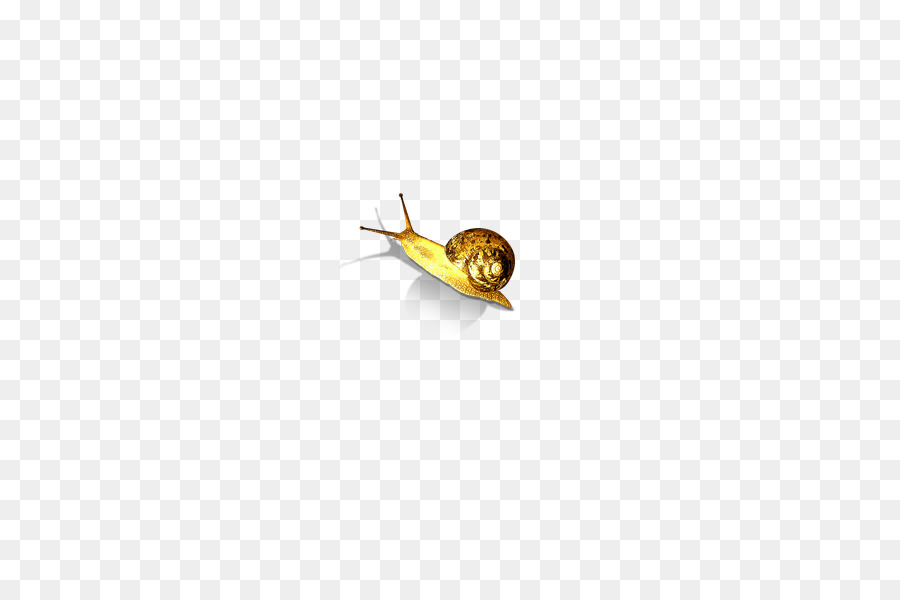 Caracol，Amarillo PNG