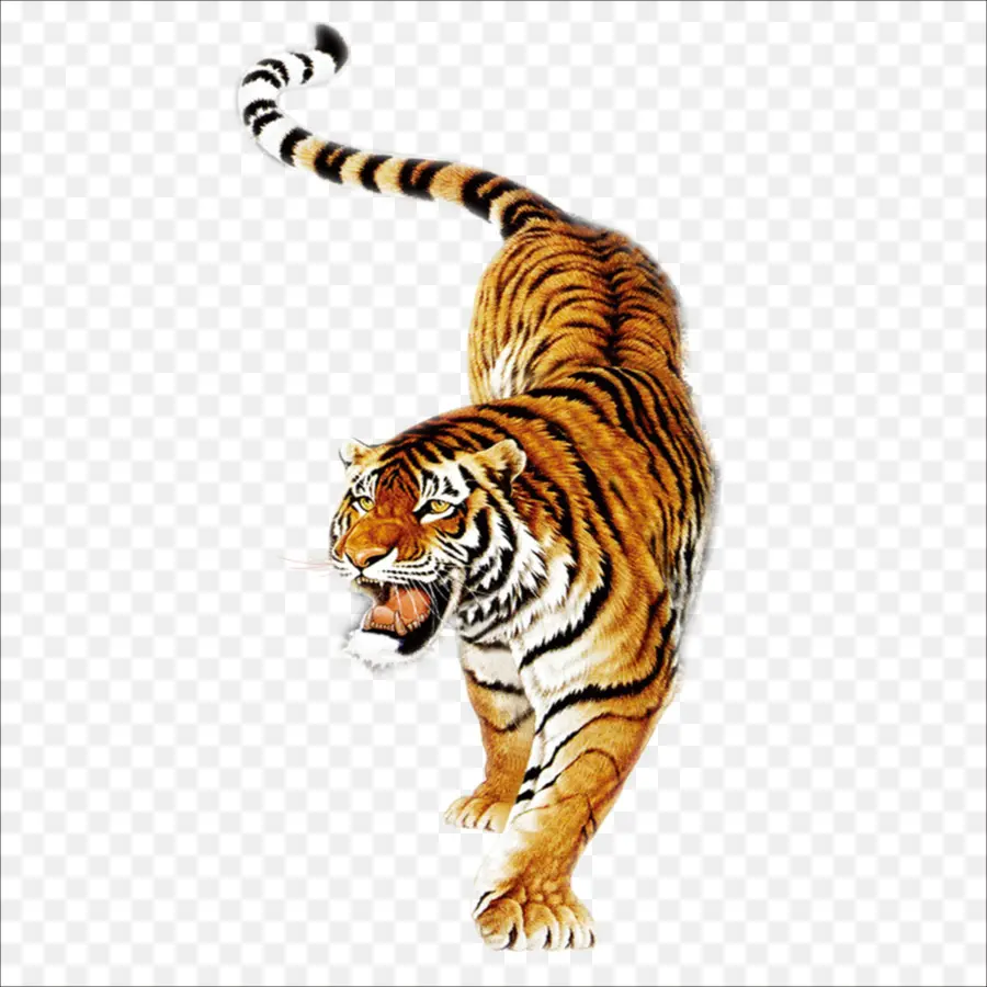 El Tigre Del Sur De China，Bálsamo Del Tigre PNG