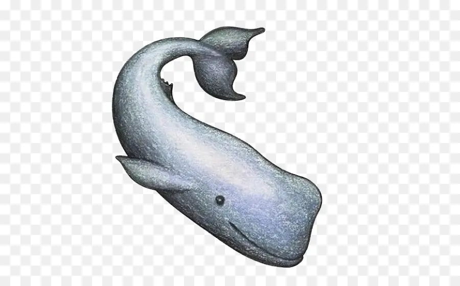 Ballena，Dibujo PNG