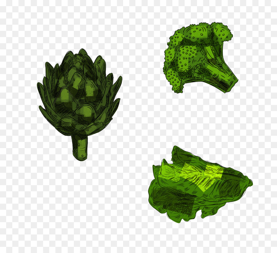 Verduras Verdes，Brócoli PNG