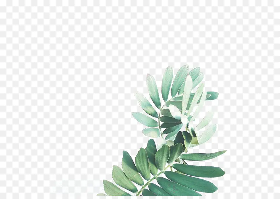 Verde，Pintura De Acuarela PNG