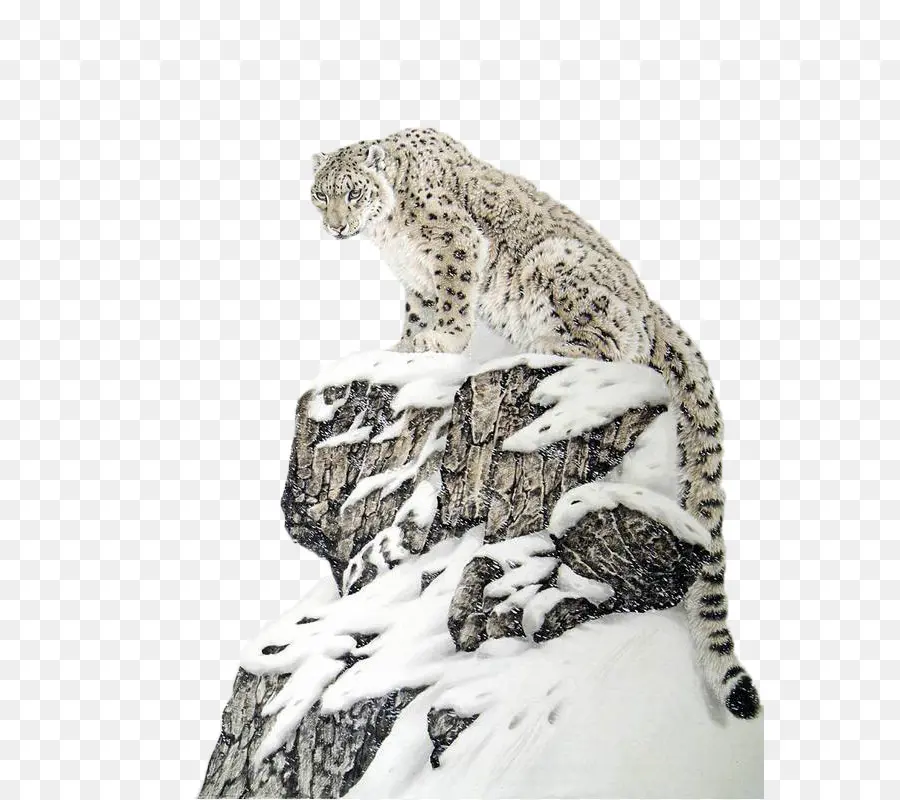 El Leopardo De Amur，Leopardo Africano PNG
