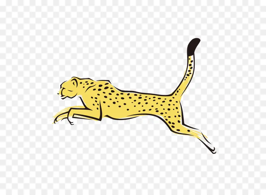 Cheetah，Leopard PNG