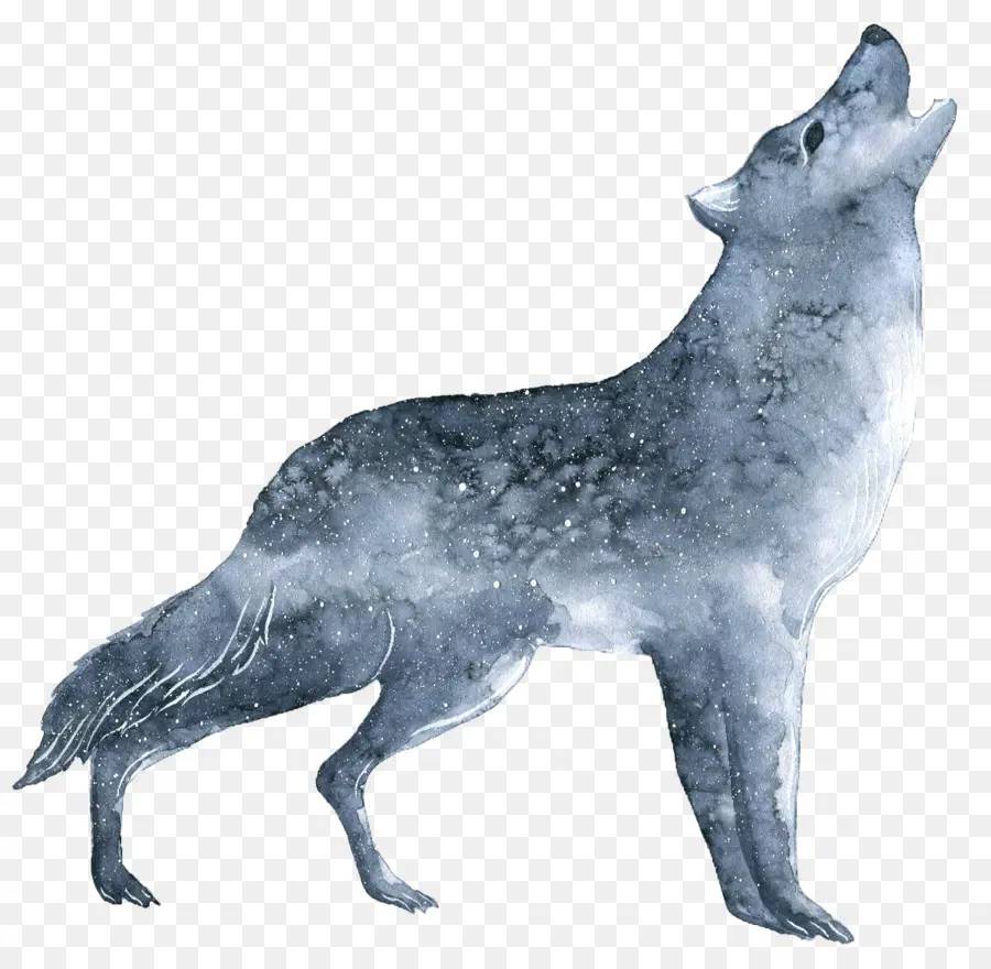 Lobo Aullando，Lobo PNG