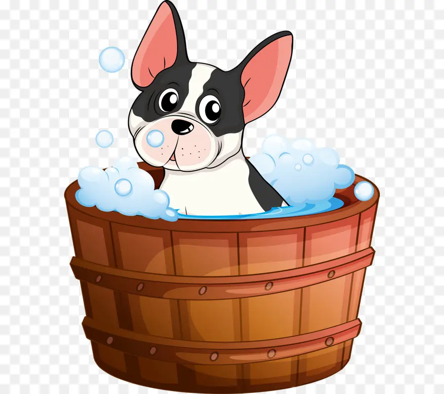 Perro，El Baño PNG