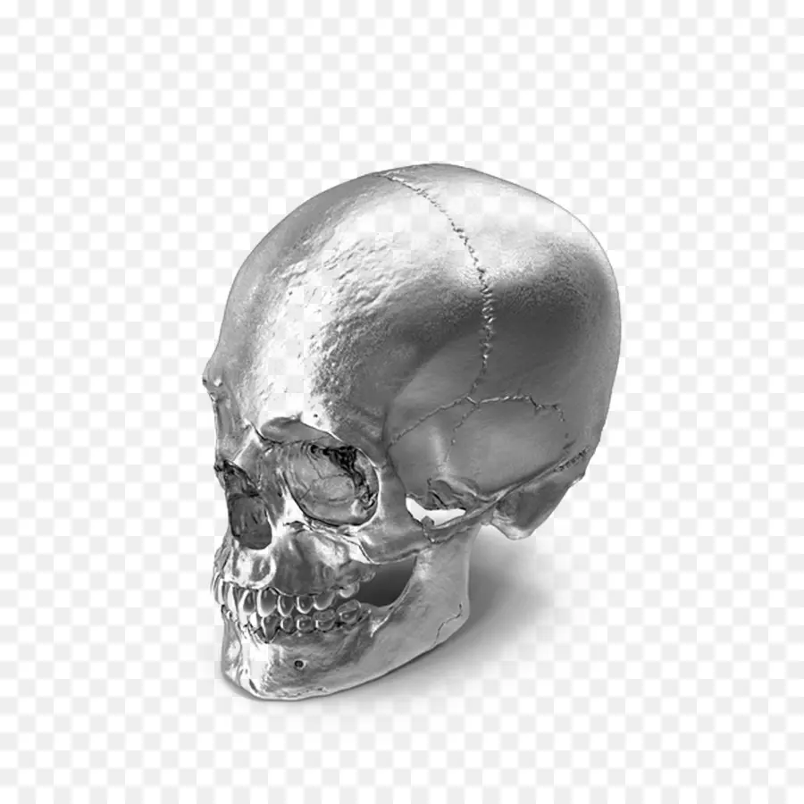 Calavera Plateada，Metal PNG