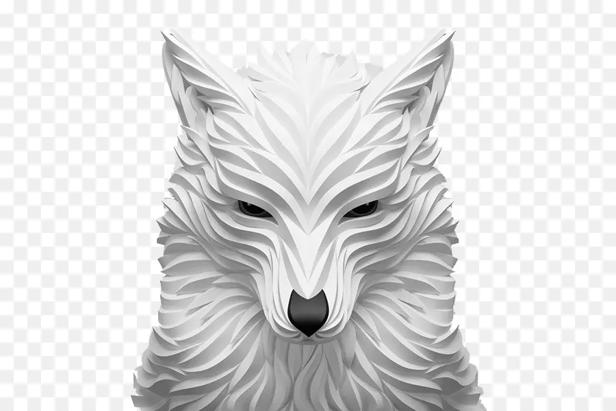 Lobo，Blanco PNG