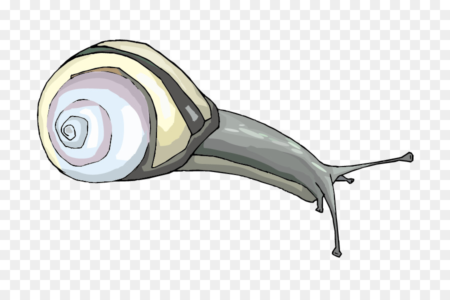 Caracol，Escargot PNG