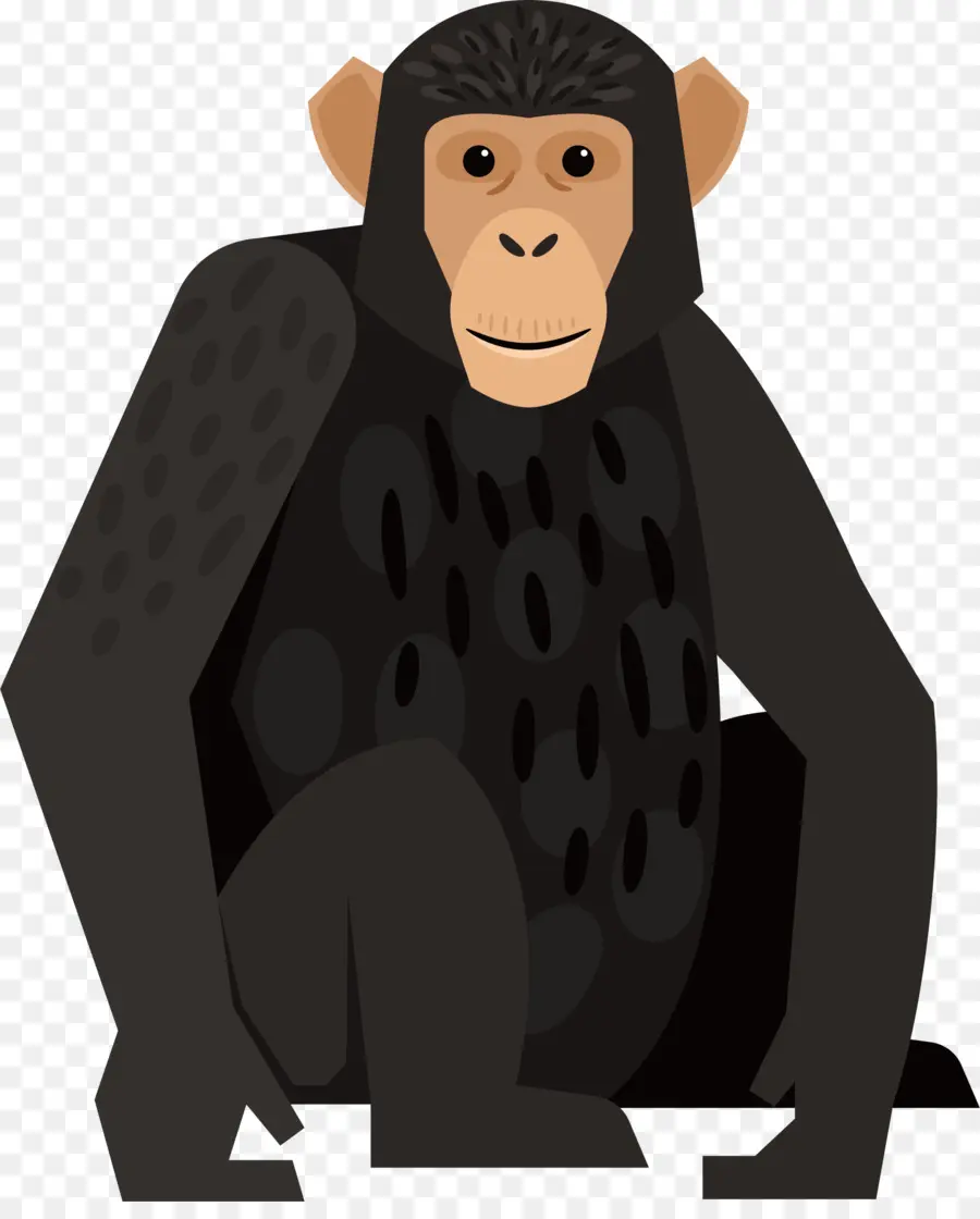 Gorila，Chimpancé PNG