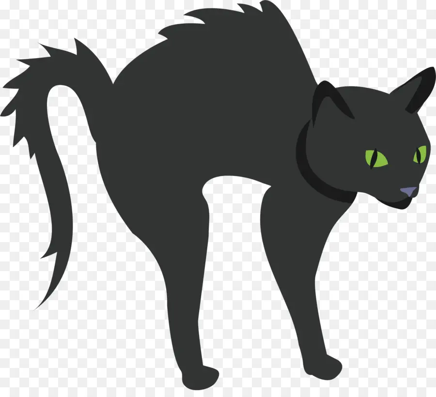 Gato Negro，Víspera De Todos Los Santos PNG