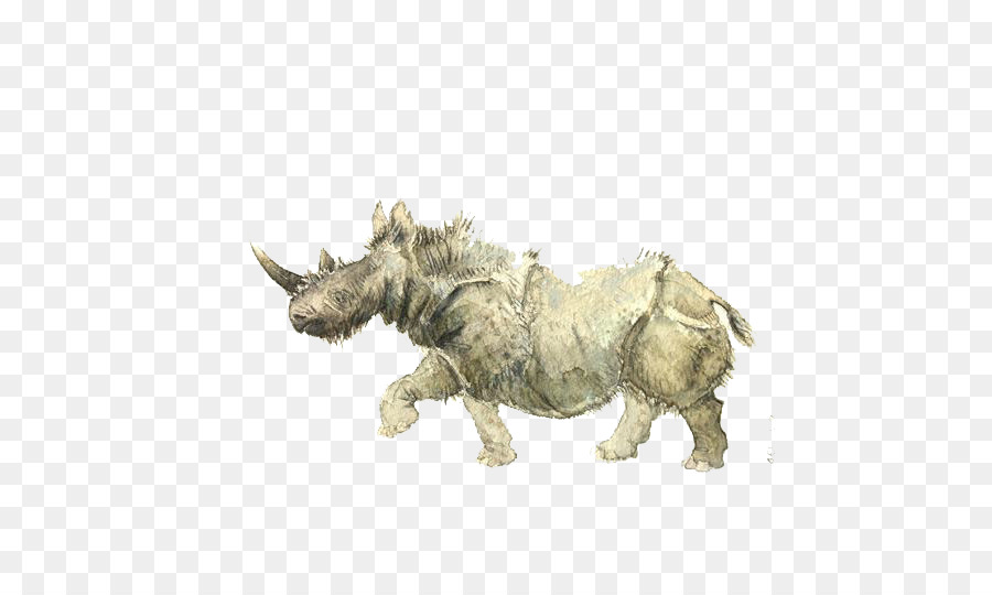 El Rinoceronte，Rhinoceros 3d PNG