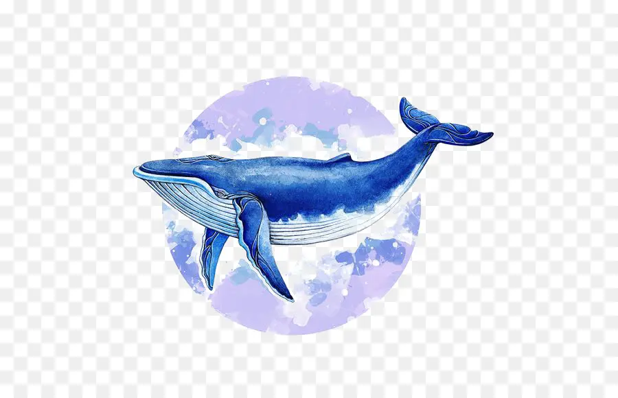 Ballena，La Ballena Azul PNG