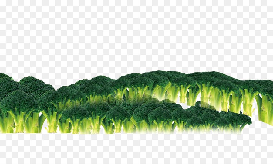 Coliflor，Brócoli PNG