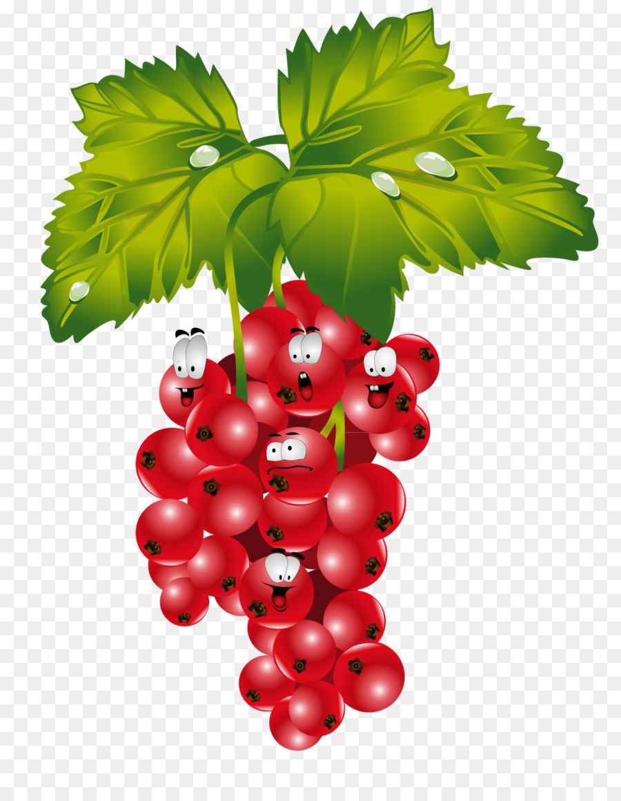 Uvas Rojas，Racimo PNG