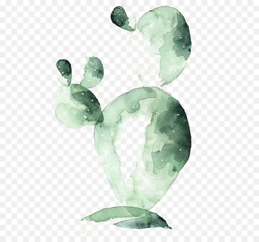 Pintura A La Acuarela，Cactaceae PNG