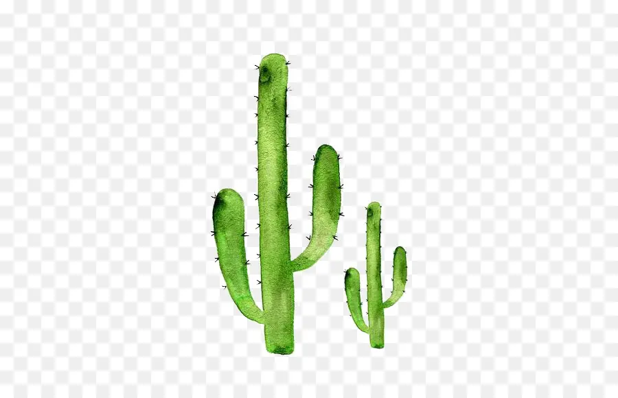 Etiqueta Engomada De La，Cactaceae PNG