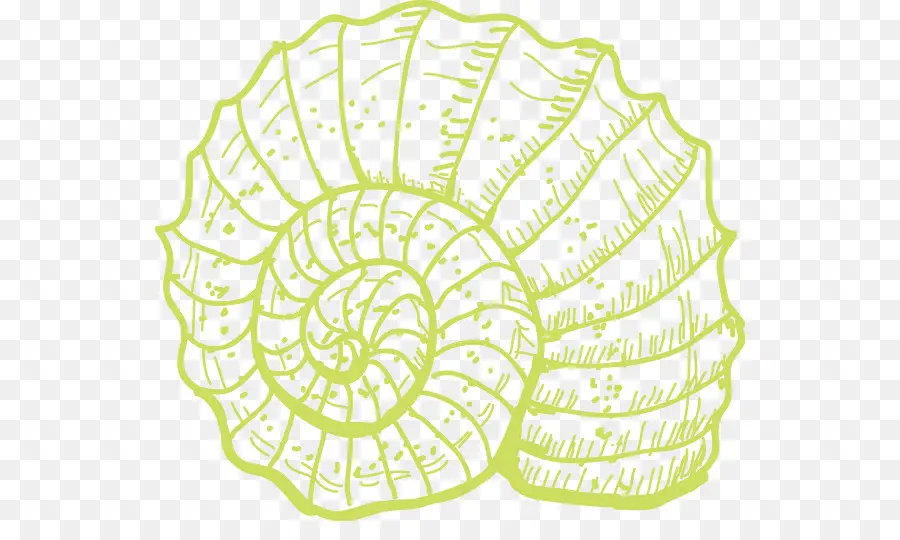 Caracol De Mar，Coral PNG