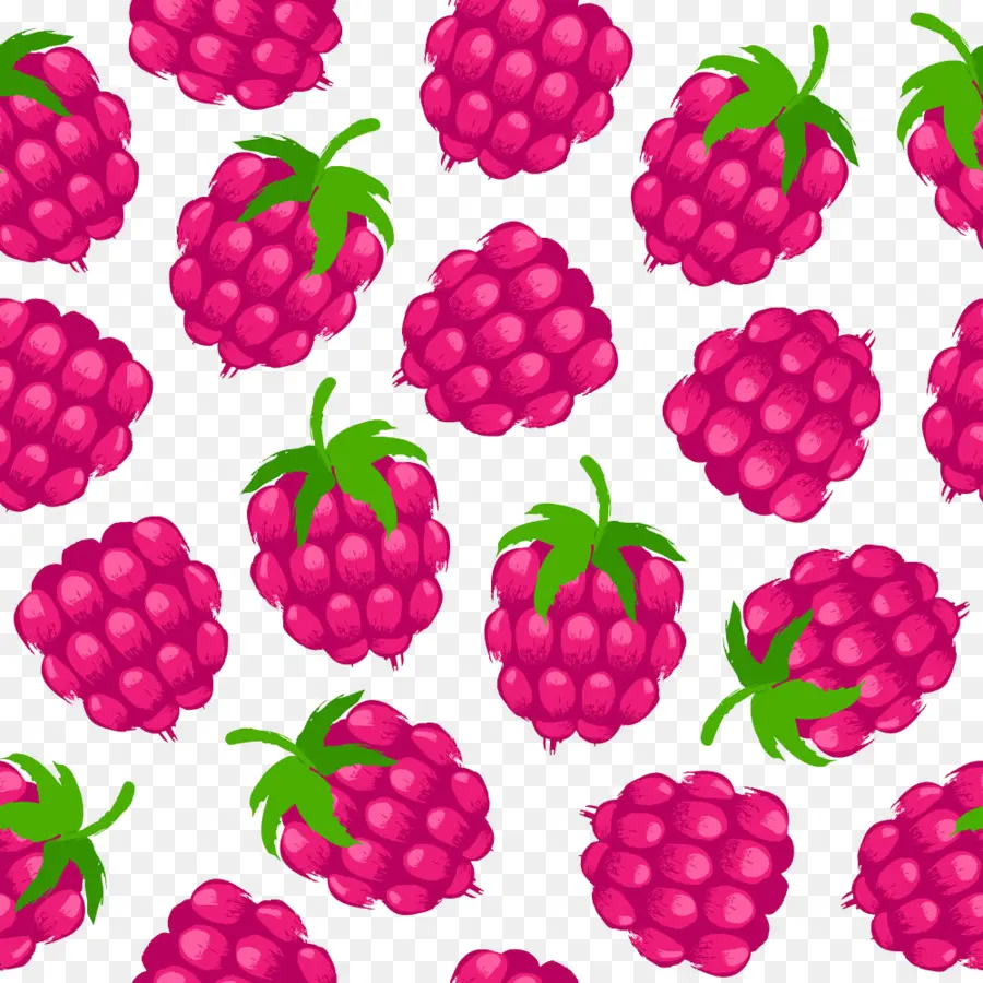 Frambuesa，Boysenberry PNG