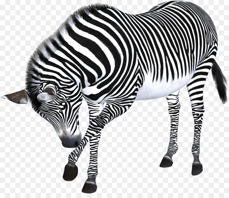 Zebra，Postscript Encapsulado PNG