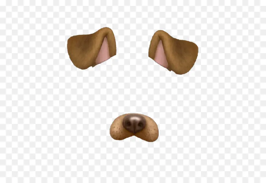 Perro，Cachorro PNG