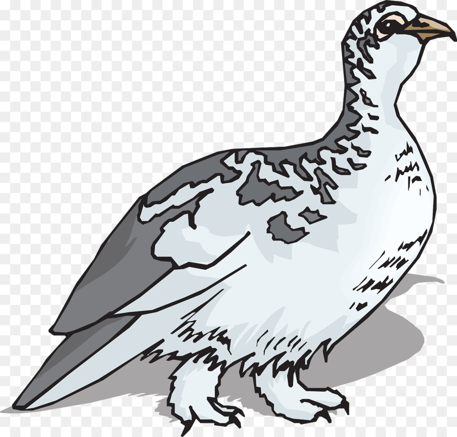 Pájaro，Rock Ptarmigan PNG