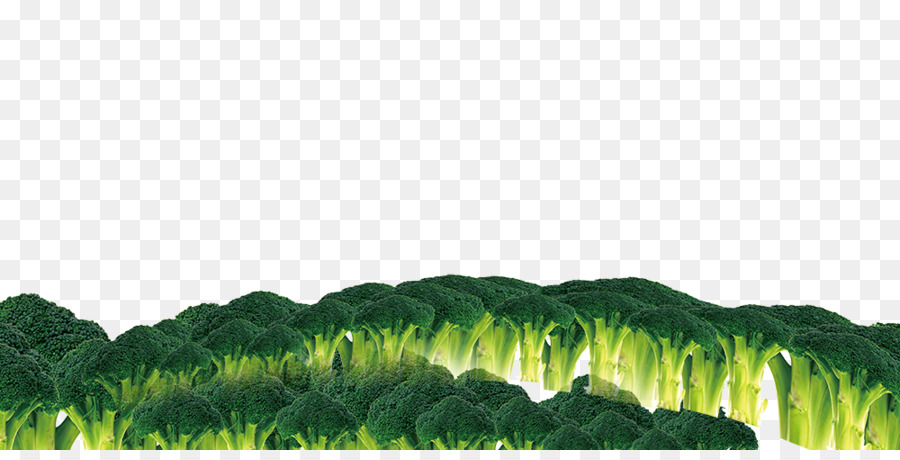 Verde，Cielo PNG