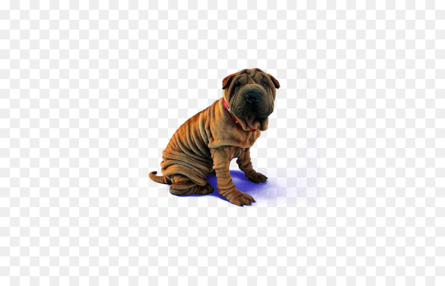 Perro Marrón，Mascota PNG