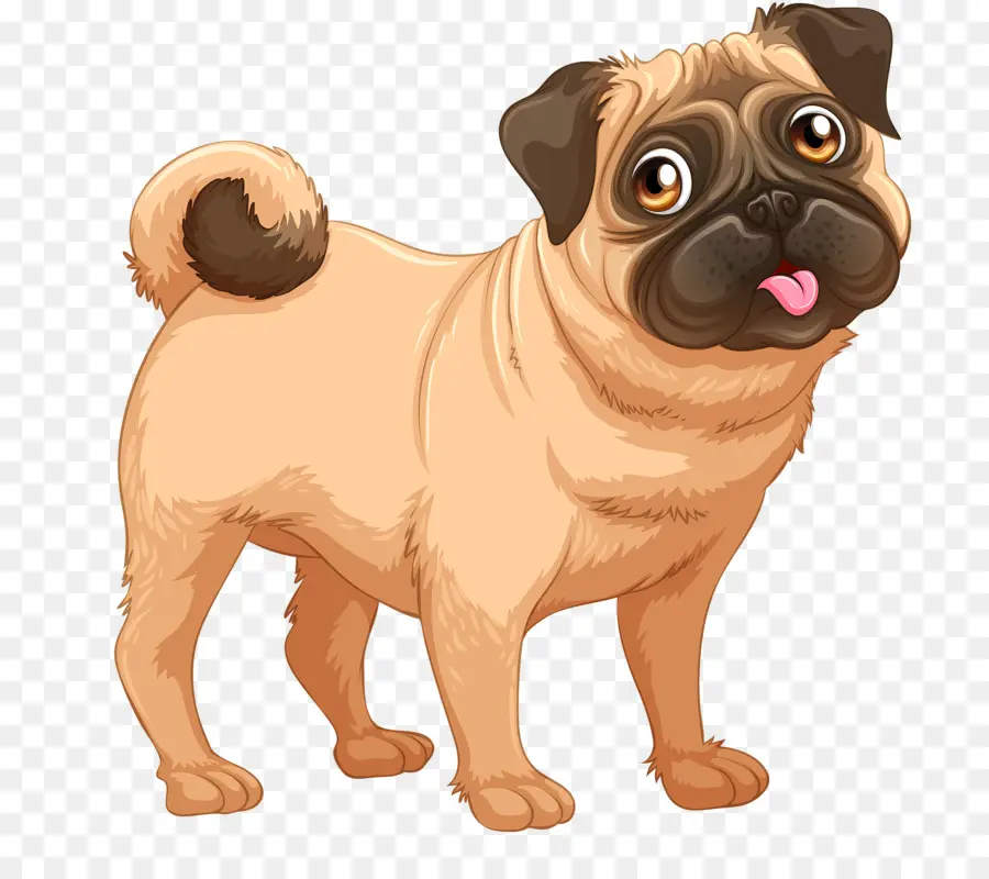 Pug，Cachorro PNG