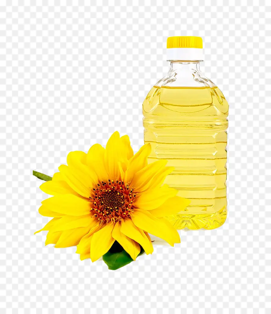 Común De Girasol，Aceite De Girasol PNG