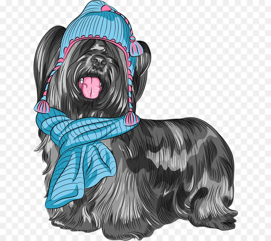 Skye Terrier，Yorkshire Terrier PNG