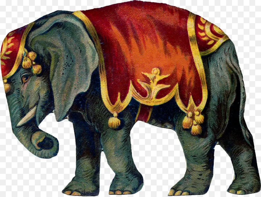 Circo，Elefante PNG