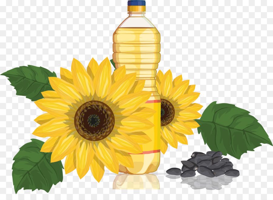 Común De Girasol，Aceite De Girasol PNG