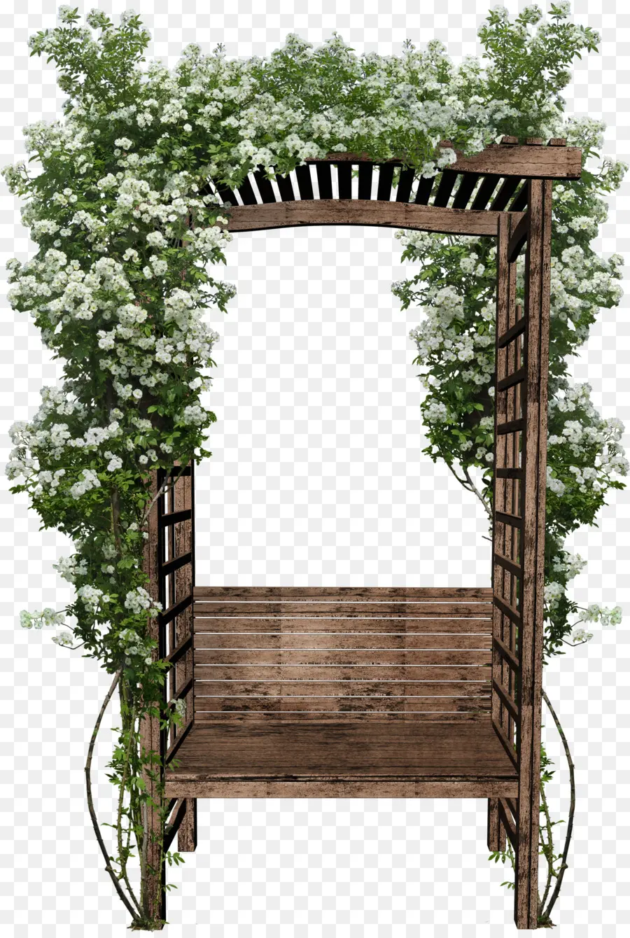 Photography，Garden PNG