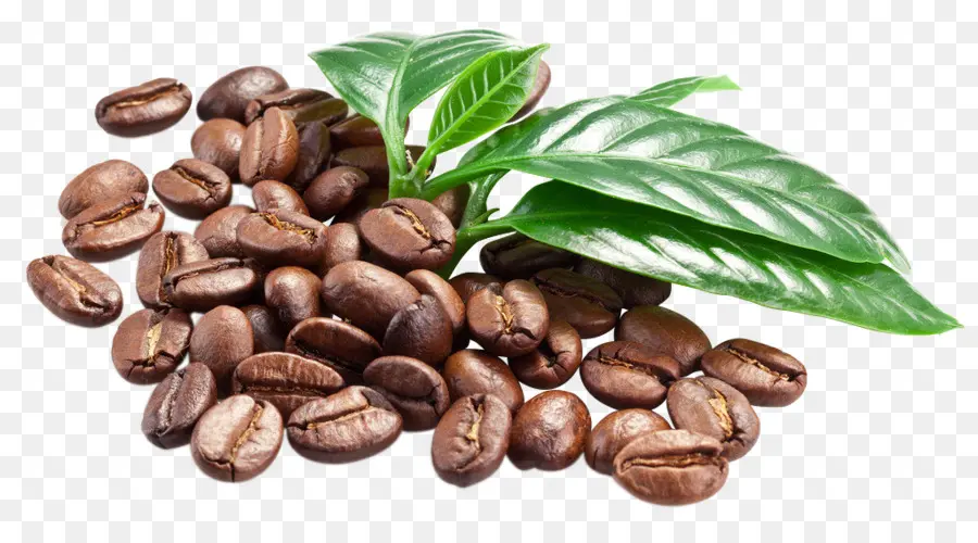 Café，Café Exprés PNG