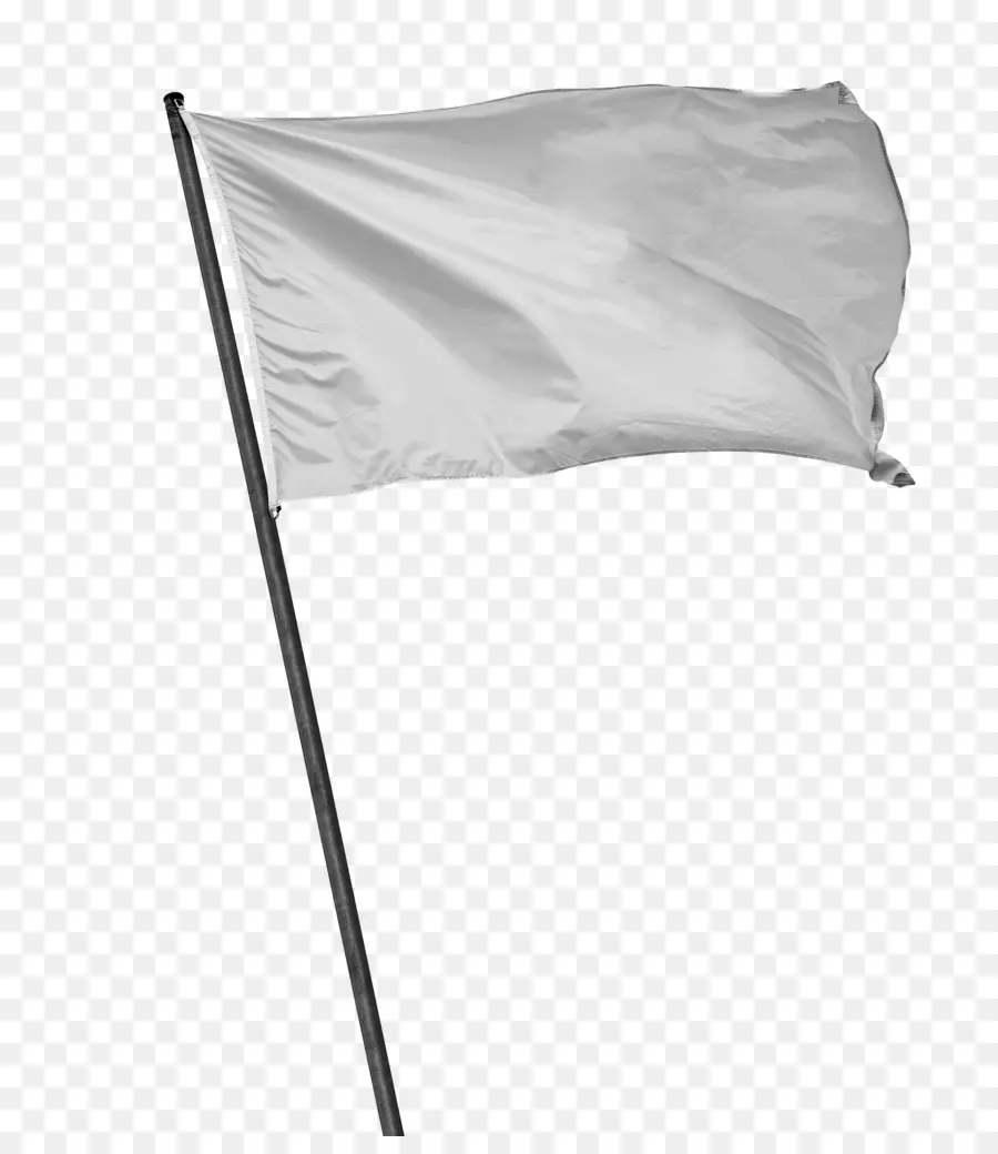 Blanco，La Bandera Blanca PNG