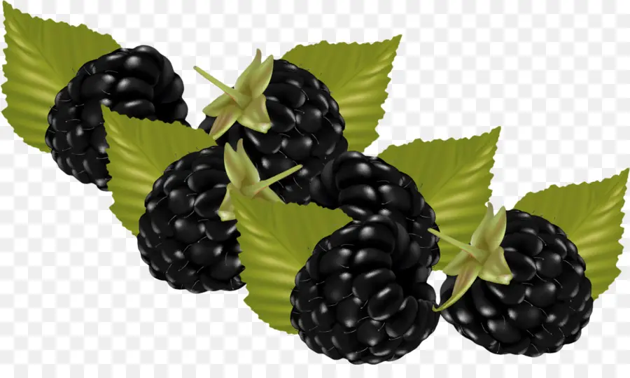 Moras，Frutas PNG