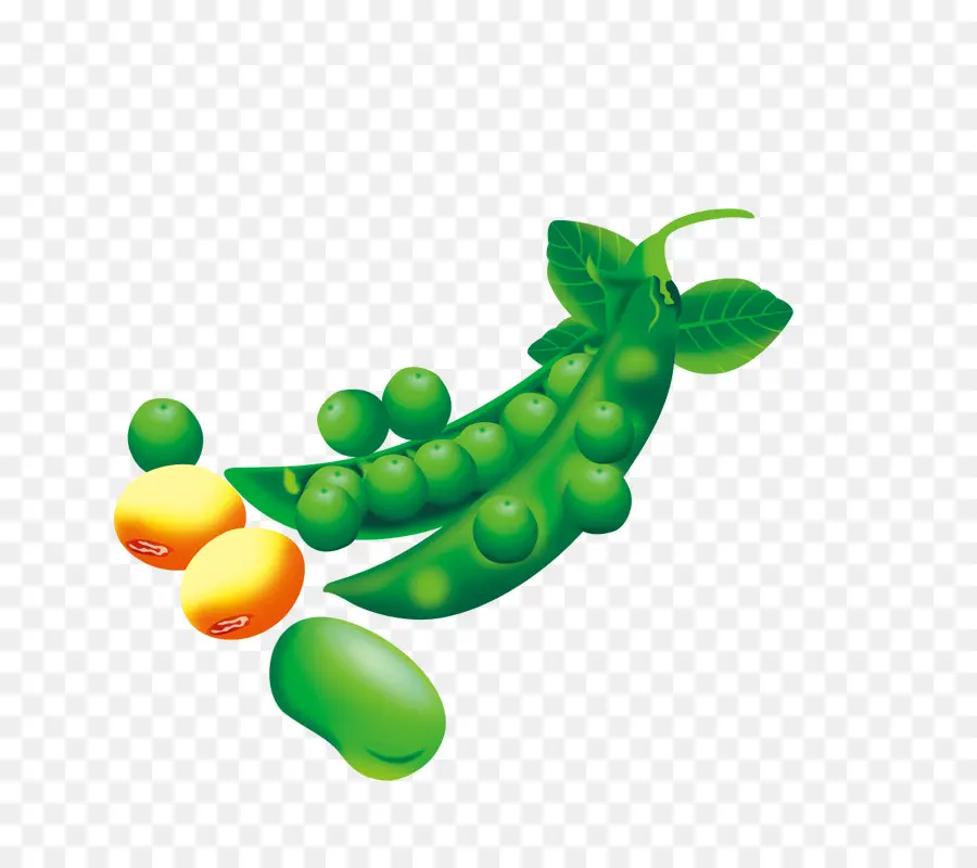 Pea，Edamame PNG