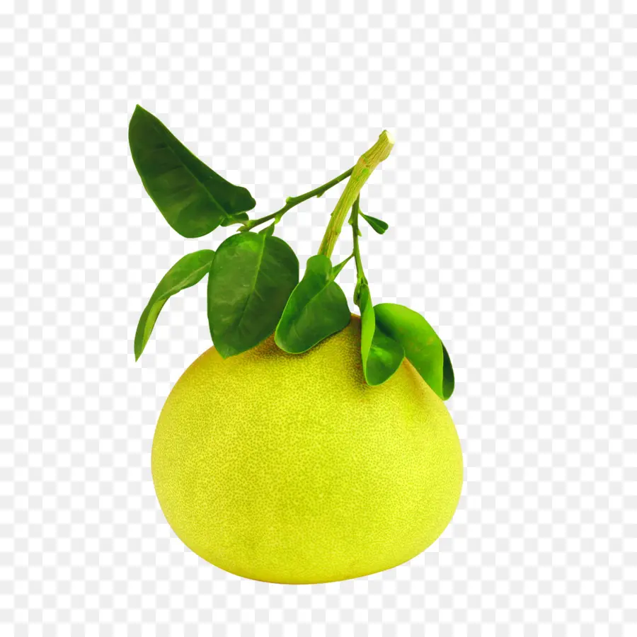 Pomelo，Hojas PNG