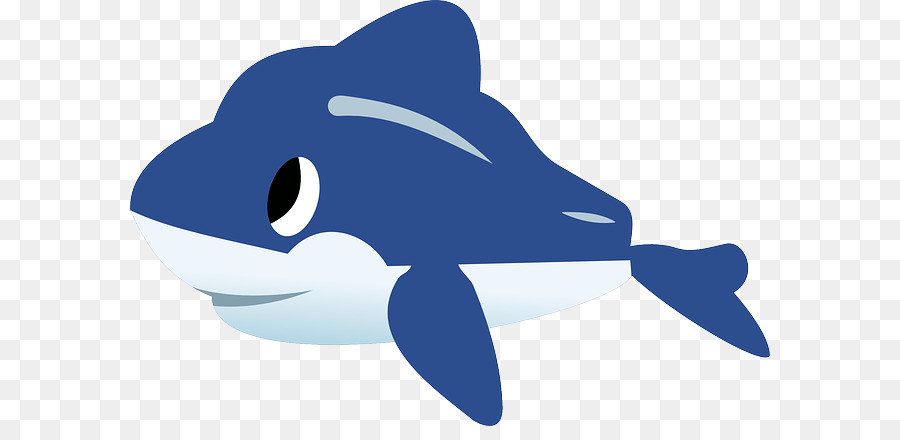 Dolphin，Euclídea Del Vector PNG