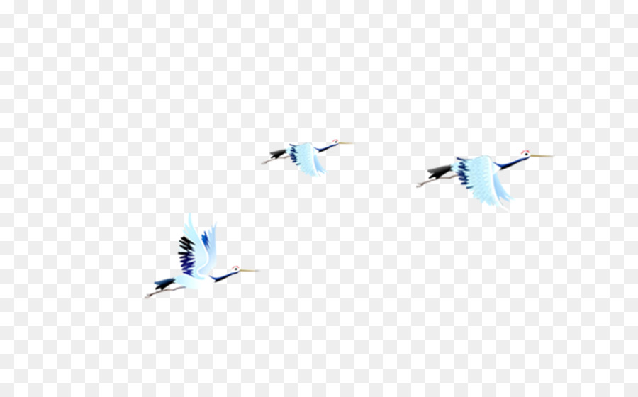 Aves Voladoras，Vuelo PNG