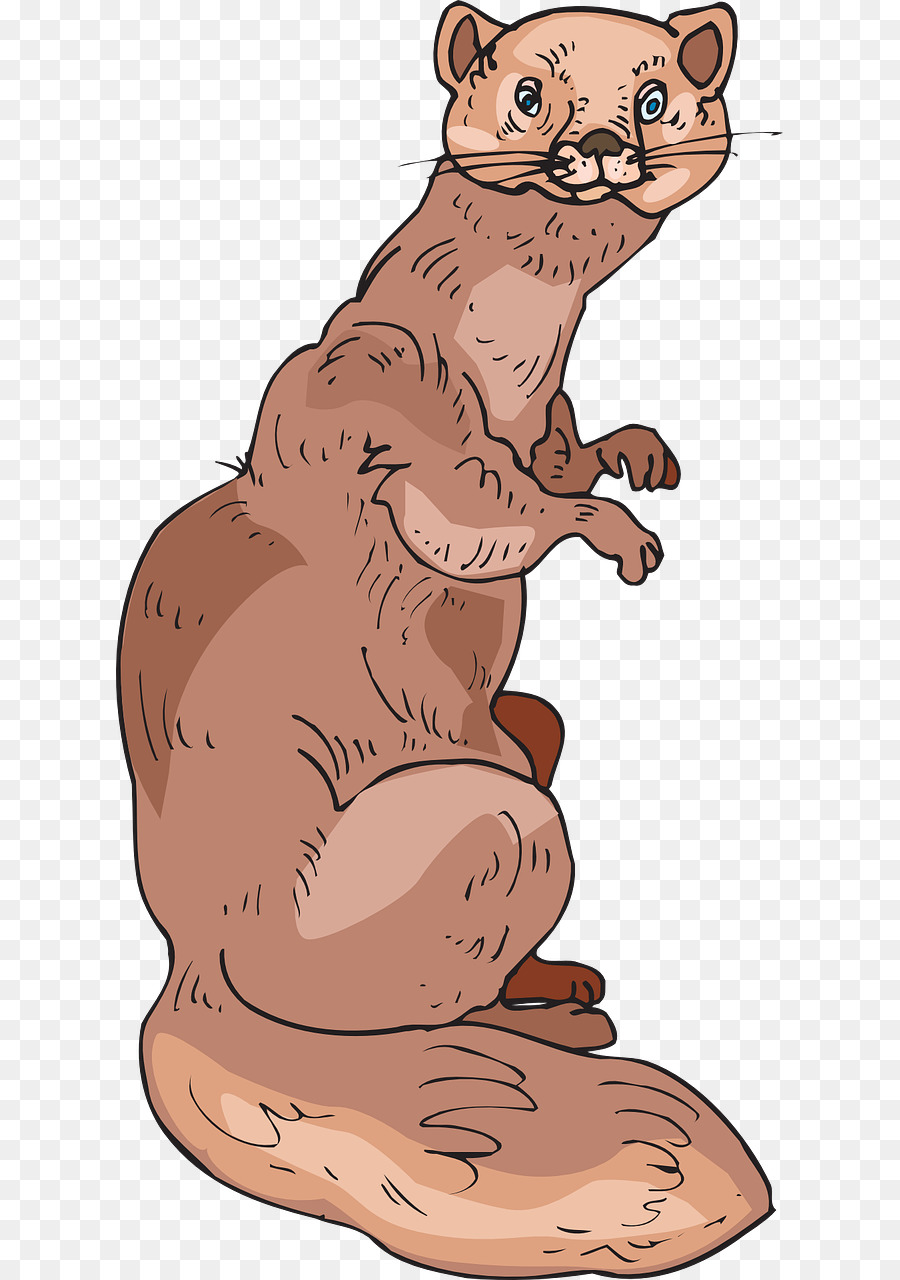 Gato，Sable PNG